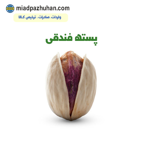 پسته صادراتی فندقی