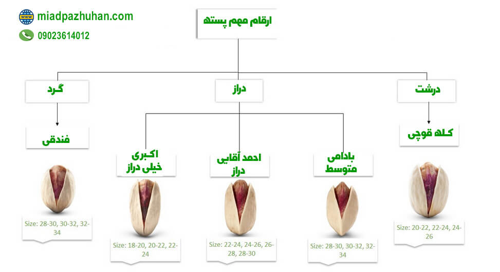 انواع مختلف پسته صادرات ، خرید و فروش