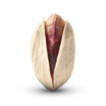 پسته صادراتی اکبری