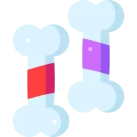 تنوع محصولات